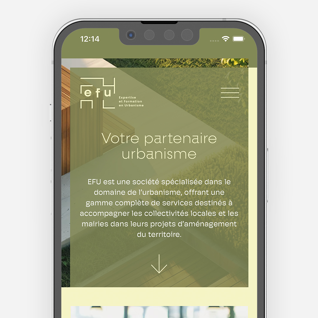 EFU Site web vitrine