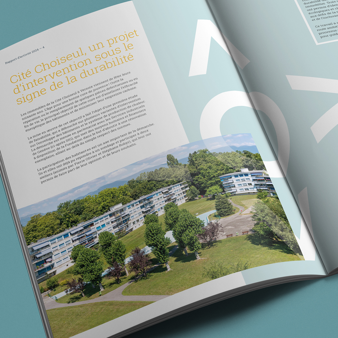 Fondation Terra Casa Rapport activite